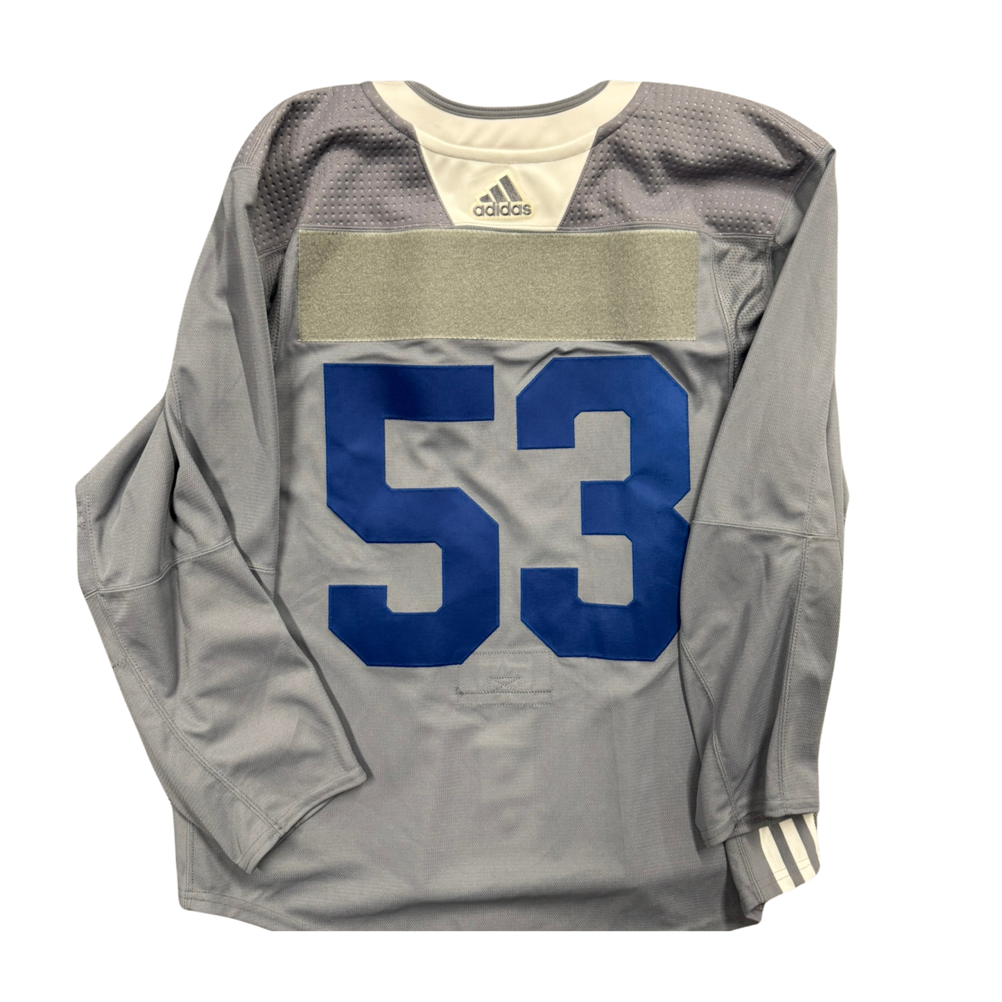 #53 Adidas Grey Training Camp Jersey